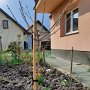 Zdjęcie 14 przedstawia drzewko  posadzone w ogrodzie przez uczennicę klasy 7